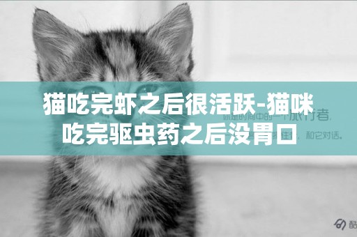 貓吃完蝦之后很活躍-貓咪吃完驅蟲藥之后沒胃口