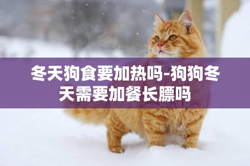 冬天狗食要加熱嗎-狗狗冬天需要加餐長膘嗎