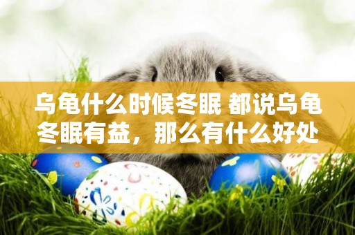 烏龜什么時候冬眠 都說烏龜冬眠有益，那么有什么好處呢？ 