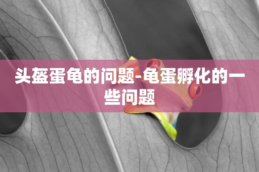 頭盔蛋龜的問題-龜蛋孵化的一些問題