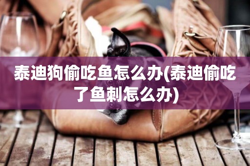 泰迪狗偷吃魚怎么辦(泰迪偷吃了魚刺怎么辦)