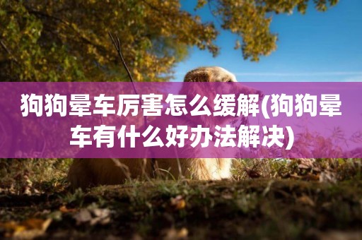 狗狗暈車厲害怎么緩解(狗狗暈車有什么好辦法解決)