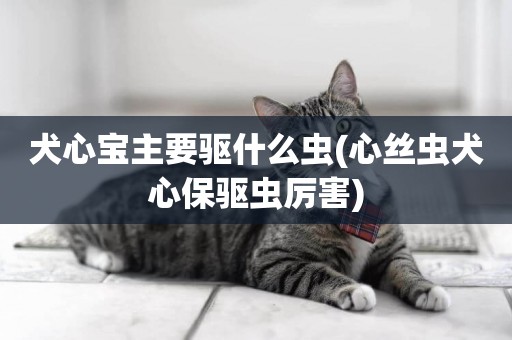 犬心寶主要驅什么蟲(心絲蟲犬心保驅蟲厲害)