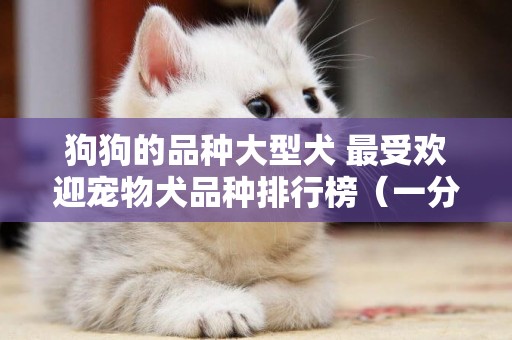 狗狗的品種大型犬 最受歡迎寵物犬品種排行榜（一分鐘帶你了解最受歡迎的家養犬種） 