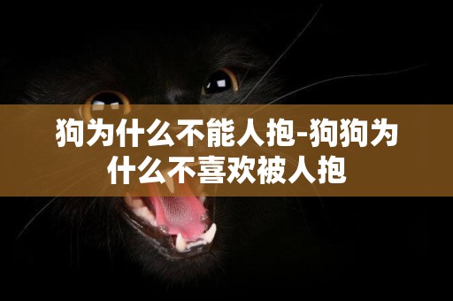 狗為什么不能人抱-狗狗為什么不喜歡被人抱