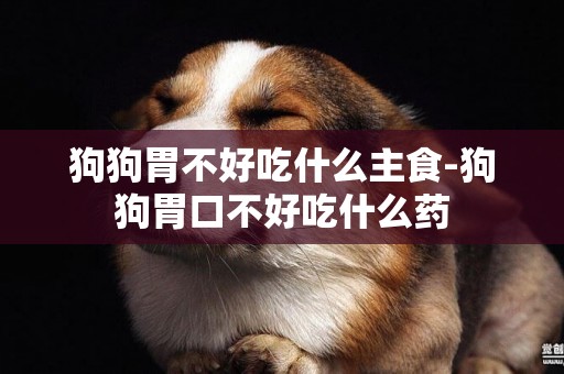 狗狗胃不好吃什么主食-狗狗胃口不好吃什么藥