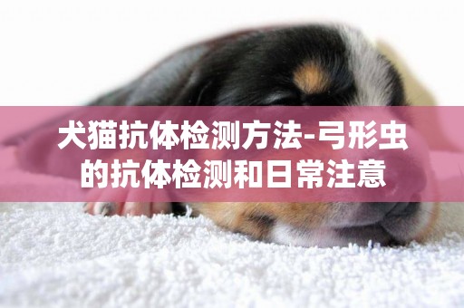 犬貓抗體檢測方法-弓形蟲的抗體檢測和日常注意