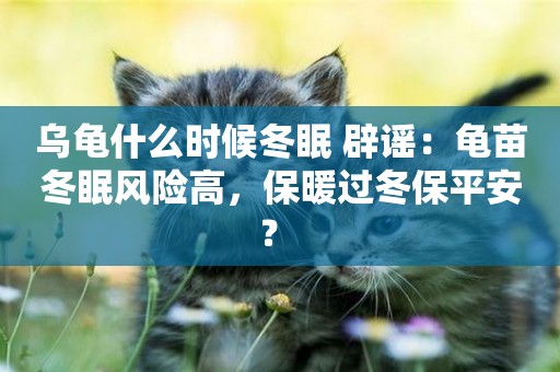 烏龜什么時候冬眠 辟謠：龜苗冬眠風險高，保暖過冬保平安？ 