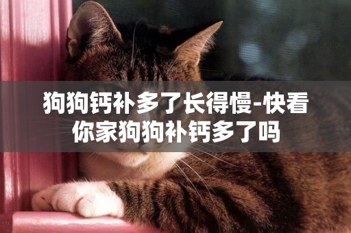 狗狗鈣補多了長得慢-快看你家狗狗補鈣多了嗎