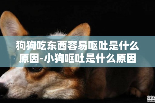 狗狗吃東西容易嘔吐是什么原因-小狗嘔吐是什么原因