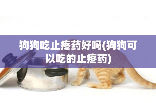 狗狗吃止疼藥好嗎(狗狗可以吃的止疼藥)