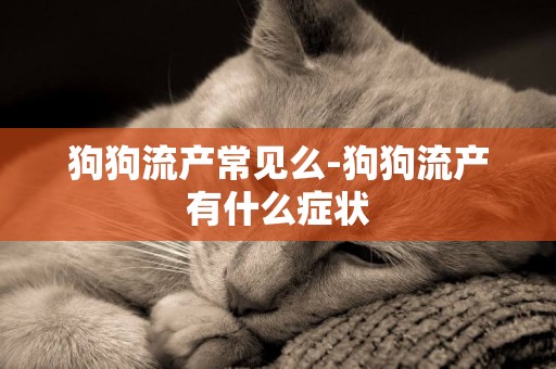狗狗流產常見么-狗狗流產有什么癥狀