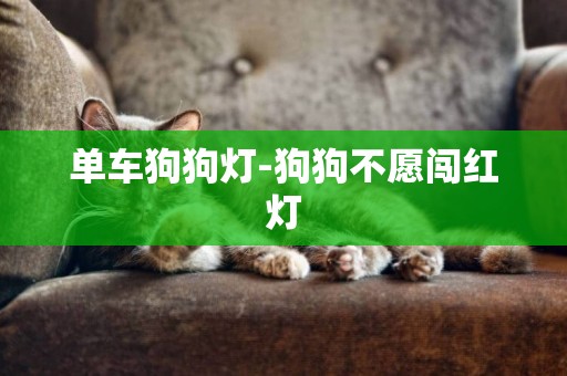 單車狗狗燈-狗狗不愿闖紅燈