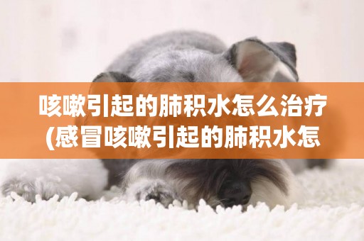 咳嗽引起的肺積水怎么治療(感冒咳嗽引起的肺積水怎么治療)