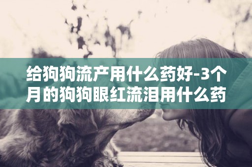 給狗狗流產用什么藥好-3個月的狗狗眼紅流淚用什么藥好