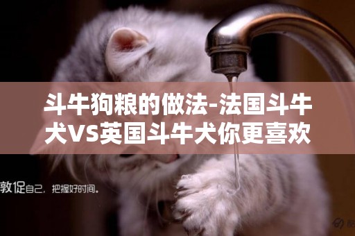 斗牛狗糧的做法-法國斗牛犬VS英國斗牛犬你更喜歡誰