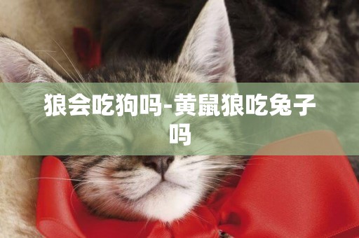 狼會吃狗嗎-黃鼠狼吃兔子嗎