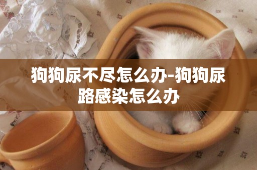 狗狗尿不盡怎么辦-狗狗尿路感染怎么辦