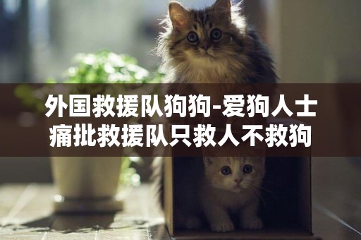 外國救援隊狗狗-愛狗人士痛批救援隊只救人不救狗