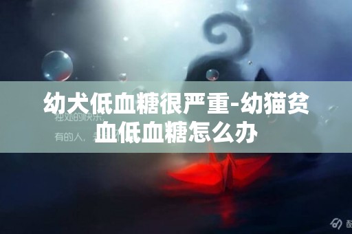 幼犬低血糖很嚴重-幼貓貧血低血糖怎么辦