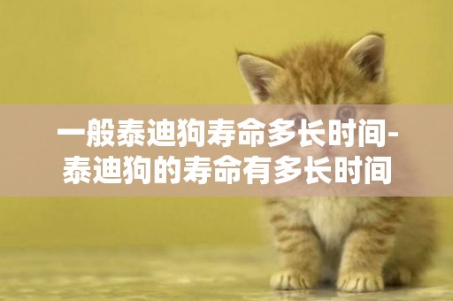 一般泰迪狗壽命多長時間-泰迪狗的壽命有多長時間