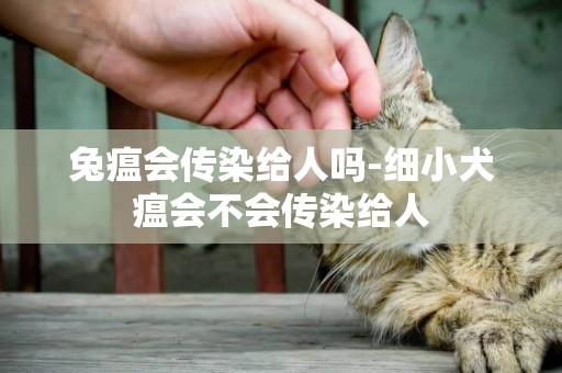 兔瘟會傳染給人嗎-細小犬瘟會不會傳染給人