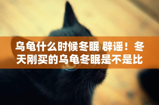 烏龜什么時候冬眠 辟謠！冬天剛買的烏龜冬眠是不是比較安全？為了賣龜而糊弄新手是不靠譜的 