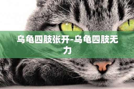 烏龜四肢張開-烏龜四肢無力