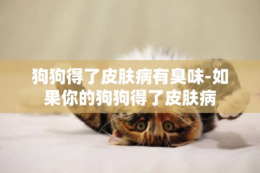 狗狗得了皮膚病有臭味-如果你的狗狗得了皮膚病