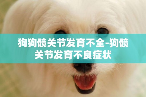狗狗髖關節發育不全-狗髖關節發育不良癥狀