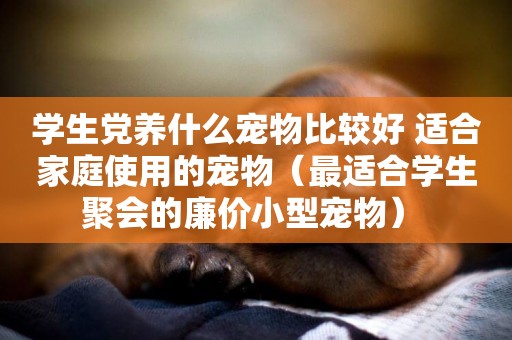學生黨養什么寵物比較好 適合家庭使用的寵物（最適合學生聚會的廉價小型寵物） 