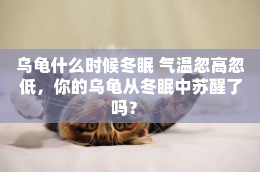 烏龜什么時候冬眠 氣溫忽高忽低，你的烏龜從冬眠中蘇醒了嗎？ 