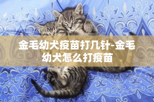 金毛幼犬疫苗打幾針-金毛幼犬怎么打疫苗