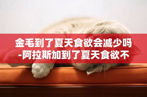 金毛到了夏天食欲會減少嗎-阿拉斯加到了夏天食欲不好怎么辦