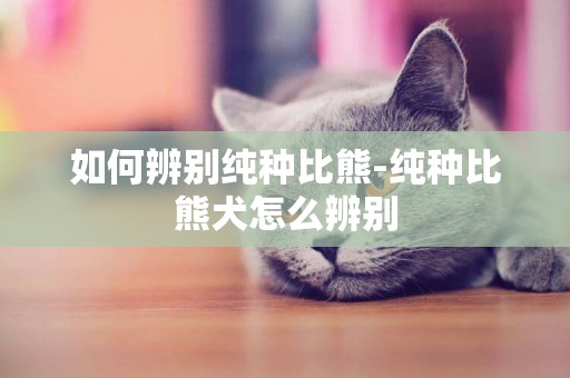 如何辨別純種比熊-純種比熊犬怎么辨別