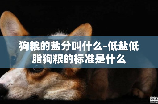 狗糧的鹽分叫什么-低鹽低脂狗糧的標準是什么