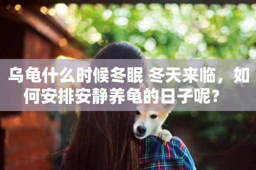 烏龜什么時候冬眠 冬天來臨，如何安排安靜養龜的日子呢？ 