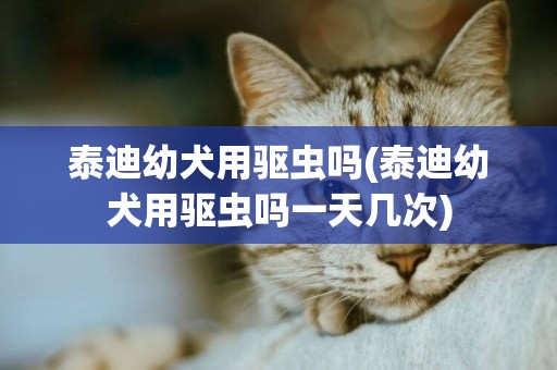 泰迪幼犬用驅蟲嗎(泰迪幼犬用驅蟲嗎一天幾次)