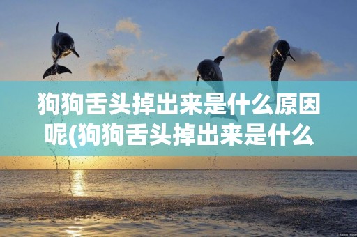 狗狗舌頭掉出來是什么原因呢(狗狗舌頭掉出來是什么原因呢用什么藥)
