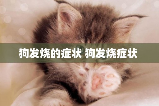 狗發燒的癥狀 狗發燒癥狀 