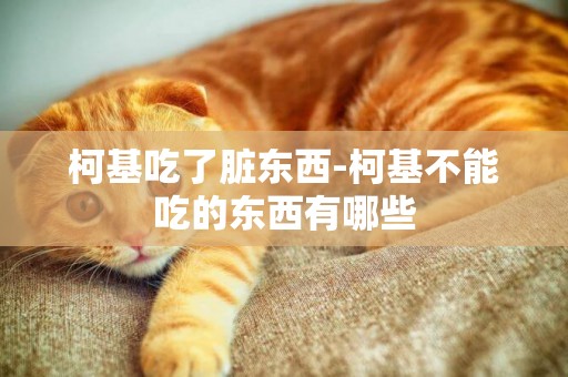 柯基吃了臟東西-柯基不能吃的東西有哪些