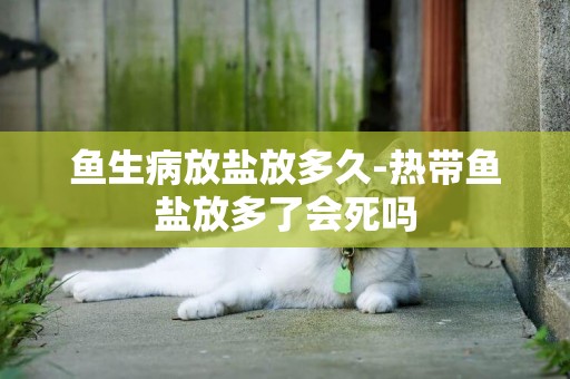 魚生病放鹽放多久-熱帶魚鹽放多了會死嗎