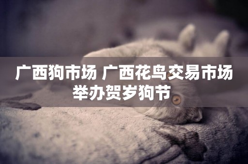 廣西狗市場 廣西花鳥交易市場舉辦賀歲狗節 