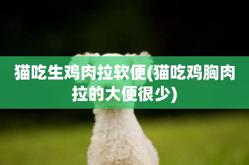 貓吃生雞肉拉軟便(貓吃雞胸肉拉的大便很少)