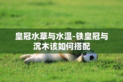 皇冠水草與水溫-鐵皇冠與沉木該如何搭配