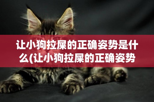 讓小狗拉屎的正確姿勢是什么(讓小狗拉屎的正確姿勢是什么意思)