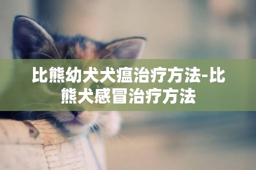 比熊幼犬犬瘟治療方法-比熊犬感冒治療方法