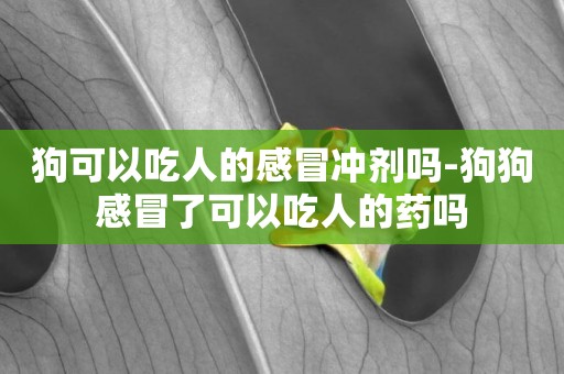 狗可以吃人的感冒沖劑嗎-狗狗感冒了可以吃人的藥嗎