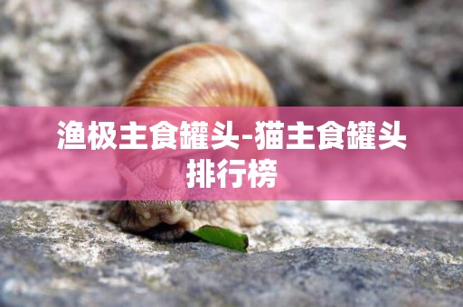 漁極主食罐頭-貓主食罐頭排行榜