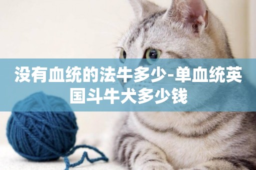 沒有血統的法牛多少-單血統英國斗牛犬多少錢